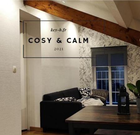 Calm & Cosy Apartment Freyming-Merlebach Luaran gambar